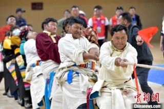 西藏拉萨：农牧民运动会上的拔河竞赛